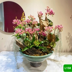 L158