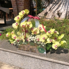 H161