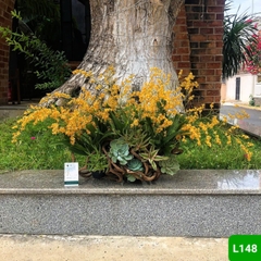 L148