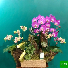 L155
