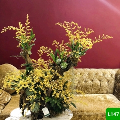L147