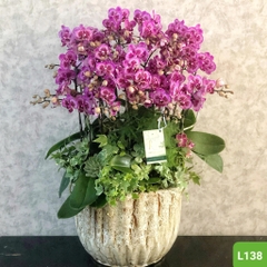 L138