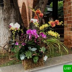 L157