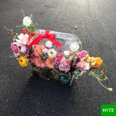 H172