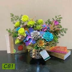 C81
