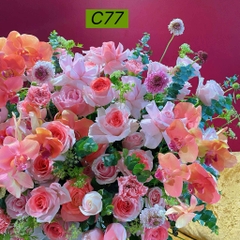 C77