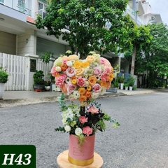 H43