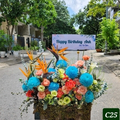 C25