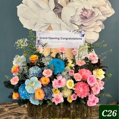 C26