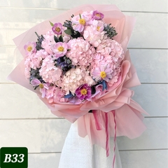 B33