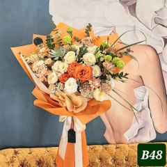 B48