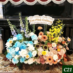 C21