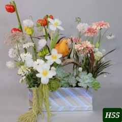 H55