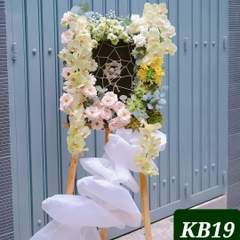 KB19