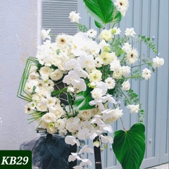 KB29