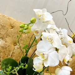 L18 Thiết kế Sang Trọng