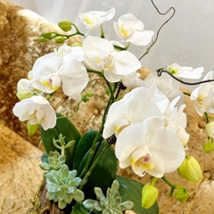 L18 Thiết kế Sang Trọng