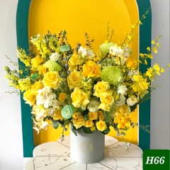 H66