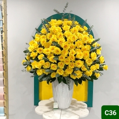 C36