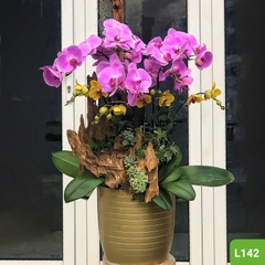 L142