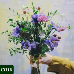 CD10