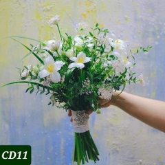CD11
