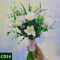 CD14