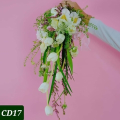 CD17
