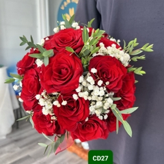 CD27