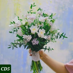 CD5