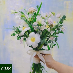 CD8