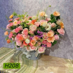 H208