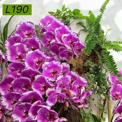 L190
