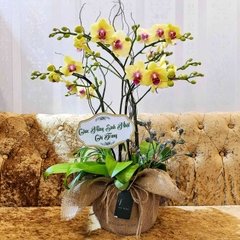 L25 Thiết kế Sang Trọng