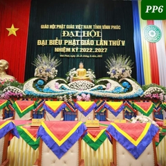 PP6