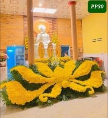 PP30