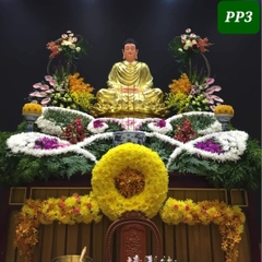 PP3