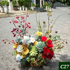 C27