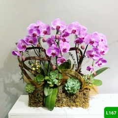 L167