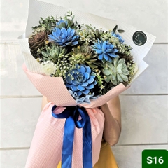 S16