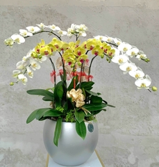 L10 Thiết kế Hiện Đại
