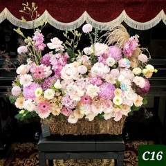 C16