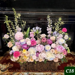 C18
