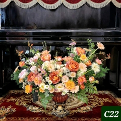 C22