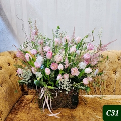 C31