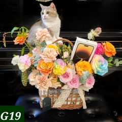 G19