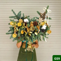 GS9