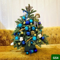 GS4