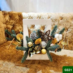 GS21