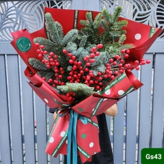 GS43